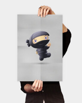 Flying Ninja